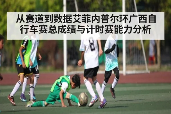 从赛道到数据艾菲内普尔环广西自行车赛总成绩与计时赛能力分析