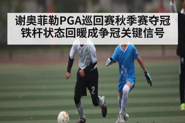 谢奥菲勒PGA巡回赛秋季赛夺冠 铁杆状态回暖成争冠关键信号